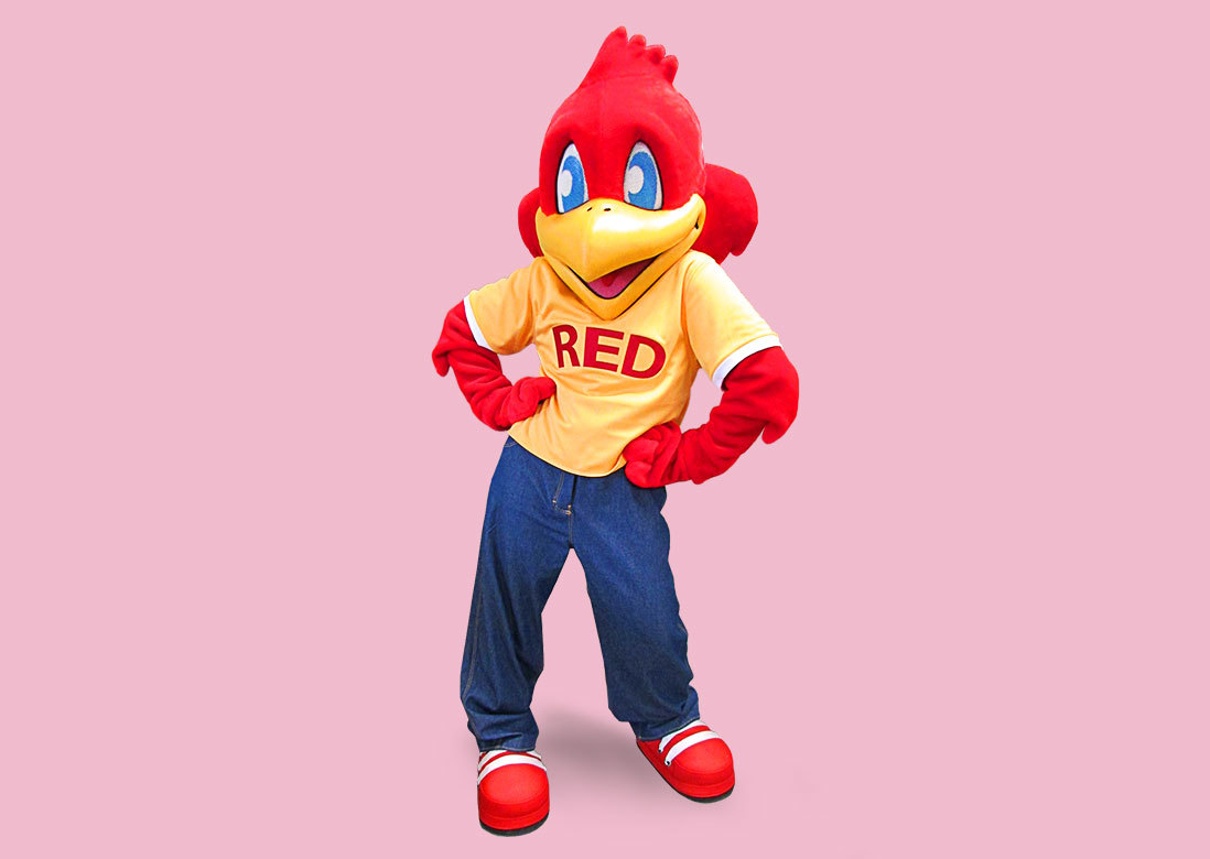 Red Robin Mascot